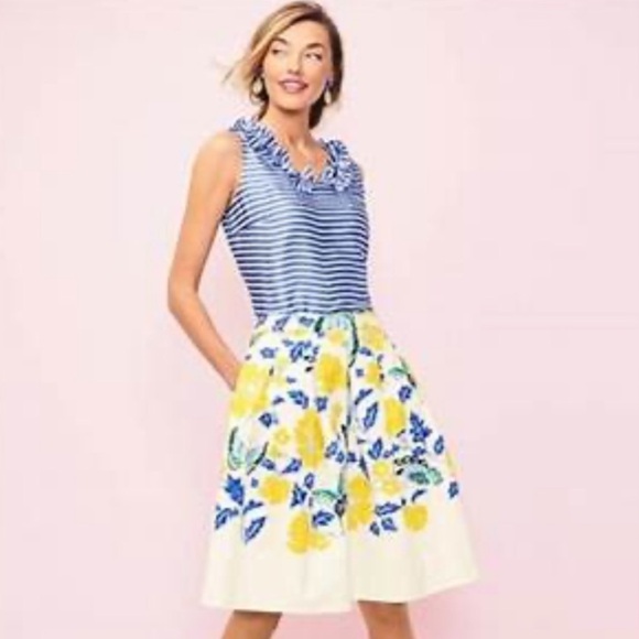 Talbots RSVP Blue & White Ruffle Neck Blouse. - Picture 9 of 11